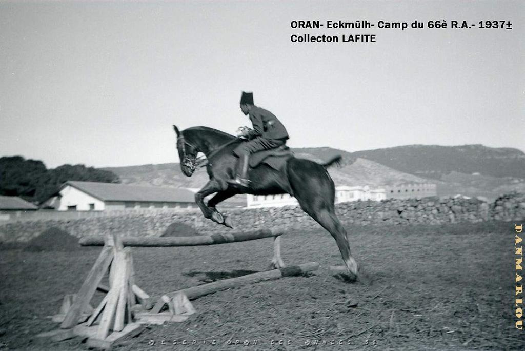 ORAN 1937 CAMP DU 66 EME RA A ECKMUHL   (4).jpg